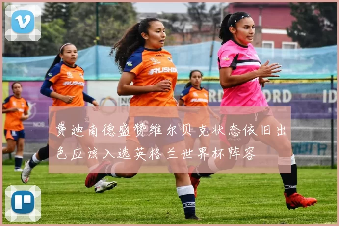 费迪南德盛赞维尔贝克状态依旧出色应该入选英格兰世界杯阵容
