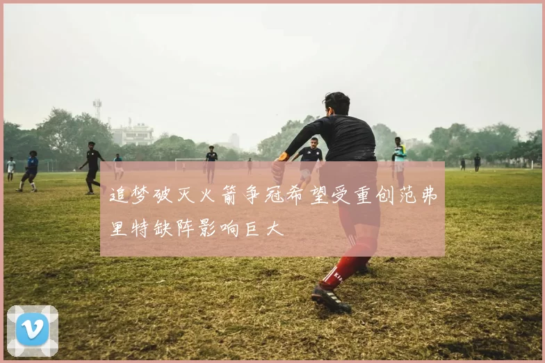 追梦破灭火箭争冠希望受重创范弗里特缺阵影响巨大