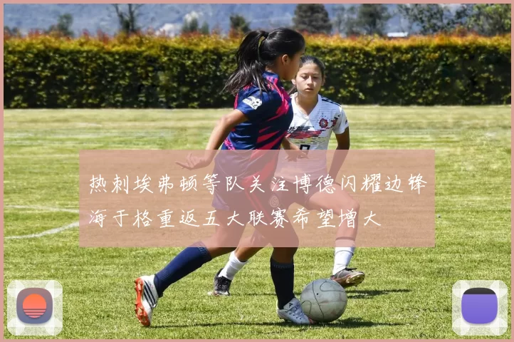 热刺埃弗顿等队关注博德闪耀边锋海于格重返五大联赛希望增大