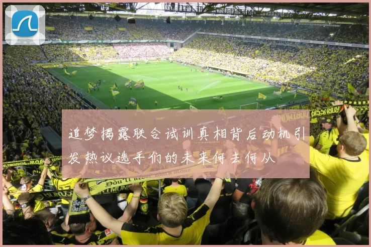 追梦揭露联合试训真相背后动机引发热议选手们的未来何去何从